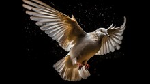 A Beautiful Stargazing White Dove. Created With Generative AI Technology