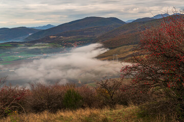 Wall Mural - Serene moment in rural area in beautiful autumn early morning mist. Panoramic view of a sleeping meadow valley covered with low clouds and fog, village hiding between rolling hills covered with trees