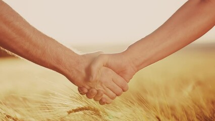 Wall Mural - handshake contract farmers. agriculture business concept. two farmers shaking hands in a yellow wheat field signing a contract lifestyle agreement. agriculture handshake business agreement close-up