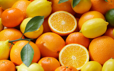 Wall Mural - fresh ripe citrus fruits as background