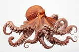 Fototapeta Do akwarium - Octopus illustration, white background. Generative AI