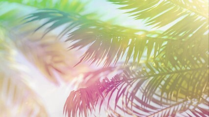 Wall Mural - 3D loop animation - Background of colorful palm trees whose leaves move in the wind at sunset