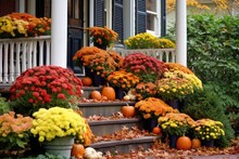 Porch Steps Lined With Mums In A Variety Of Autumn Colors