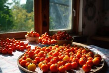 Freshly Picked Tomatoes Ready For Sun-drying On A Table