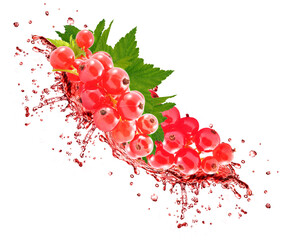 Wall Mural - red currant juice splash isolated on white background