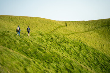 Women and men spend their days hiking. On both sides of the road is comfortable nature. The path to walk up the mountain is a natural path.