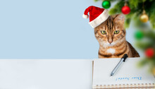 A Christmas Cat In A Santa Hat Writes A Letter To Santa Claus. Greeting Card.