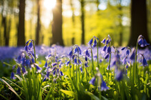 Bluebell Bliss: A Field Of Vibrant Blue Blossoms, Nature's Symphony In Shades Of Azure