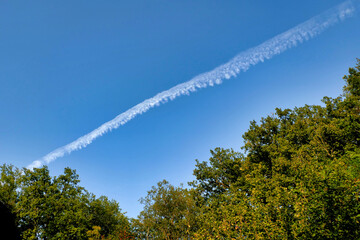 Wall Mural - Vortex smoke trail from a jet aircraft flying low over a forest canopy
