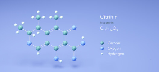 Wall Mural - citrinin molecule, molecular structures, mycotoxin, 3d model, Structural Chemical Formula and Atoms with Color Coding