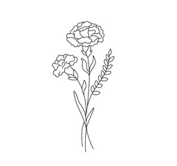 Wall Mural - Vector isolated simple carnation bouquet boutonniere ywo carnations with twig colorless black and white contour line easy drawing
