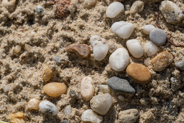 Wall Mural - Tiny pebbles on the sand.