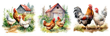 Set Of Watercolor Chickens On Farm,  Isolated On Transparent Background. Farmhouse Designs
