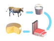 Dairy making process