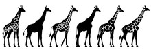 Giraffe Zoo And Africa Silhouettes Set, Large Pack Of Vector Silhouette Design, Isolated White Background
