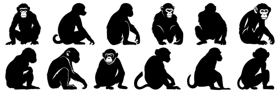 monkey ape and zoo silhouettes set, large pack of vector silhouette design, isolated white backgroun