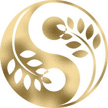 Yin Yang, Ying Yang, Gold, Golden, Vektor, Design, Circle, Ornament, Dekor, Symbol, Dekoration, Element, Rund