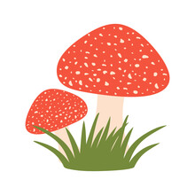 Fly Agaric Mushroom Vector. Two Mushroom Amanita On Green Grass In Flat Style. Poisonous Mushroom Isolated On White Background. Vector Illustration