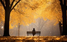 Person Sitting Alone On A Bench In A Park In Autumn Time	