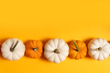 Wall Mural - Row of white and orange pumpkins on bright orange background, top view