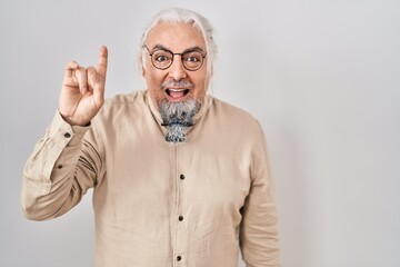 Canvas Print - Middle age man with grey hair standing over isolated background pointing finger up with successful idea. exited and happy. number one.