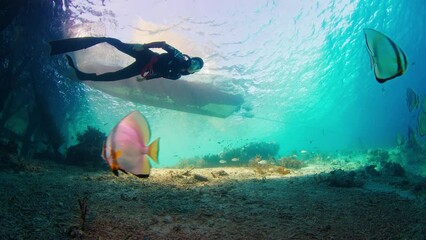 Poster - Female freediver swims underwater with school of fish near the old wooden pier in Komodo National Park in Indonesia