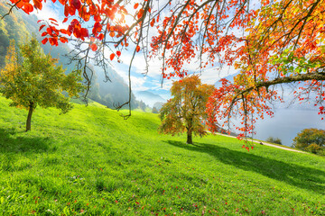 Wall Mural - captivating autumn view on suburb of stansstad city and lucerne lake with mountaines and fog