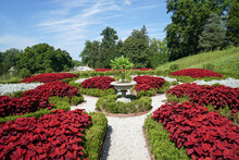 Formal Garden With Urn And Deep Red Flowers