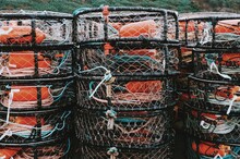 Crab Track And Buoys