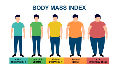 Body mass index vector illustration from underweight to extremely obese. Man with different obesity degrees. Male body with different weight.