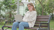 © stockbakers - Casual Young Woman with Toothache Working on Laptop Outdoor