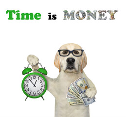 Wall Mural - Dog labrador with alarm clock and dollars