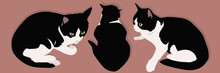 Three Black And White Cats Are Sitting Next To Each Other. Domestic Cats Are Favorite Pets. Vector Illustration.