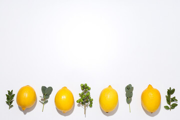 The Jewish holiday of Sukkot. Traditional symbols of the day.