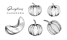 Pumpkin Vector Drawing Set. Isolated Hand Drawn Object With Sliced Piece And Leaves. Vegetable Engraved Style Illustration. Detailed Vegetarian Food Sketch. Farm Market Product.