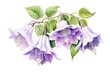 Bouquet of purple fuchsia flowers. Watercolor illustration