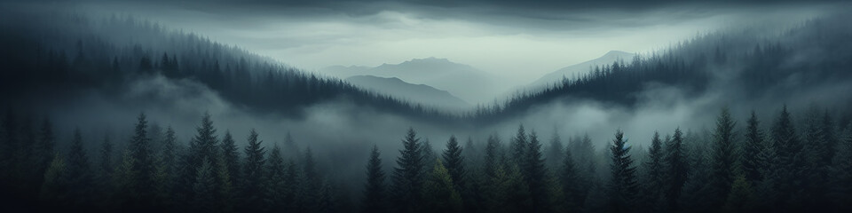 Naklejka na meble a long narrow panorama of a coniferous northern forest in the fog of an autumn day, a landscape of wildlife