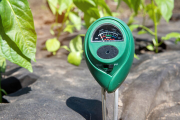 The PH meter device for measuring soil acidity and illumination in the garden measures the acidity of the soil for growing peppers, tomatoes and seedlings.