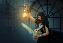Real People Art Photo Mystery Fantasy Woman Vampire In Black Dress Cape Cloak Hood Hides Face. Girl Princess Magician Holds In Lamp Lantern In Hand. Lady Elf Queen White Barn Owl Bird. Night Dark Room