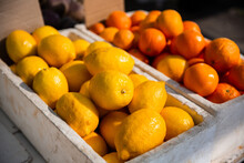 Lemons And Oranges For Sale At The Markets