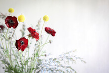 Vibrant Bunch Of Flowers On White Background Featuring Billy Buttons And Red Rununculas