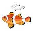 Vector illustration of colorful Ocellaris Clownfish aquatic animal.
