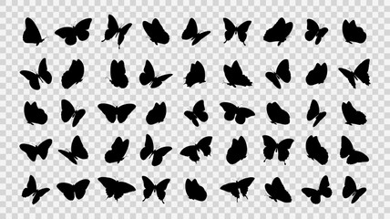 Wall Mural - Collection of butterfly silhouettes on transparent background. Vector illustration
