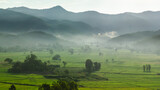 Fototapeta Na ścianę - Beautiful view of morning light hitting mountains, green rice fields, trees, and mist in the countryside in Chiang Rai, Thailand.