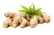 Group of Ginger root rhizome isolated on transparent background, Asian organic Herb and spice concept, Natural organic healthy plant.