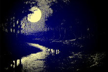 Dark Forest Landscape With Full Moon In Retro Dotwork Style. Mysterious Night Landscape In Vintage Style.