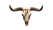Bull Longhorn Skull With Antlers. Detailed Clipart Design For Rustic Decor Png. 