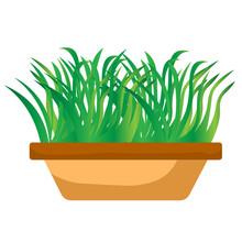 Vector Green Grass In Brown Pot