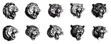 Set Of Black And White Sketch Of Lion Head. Tiger Logo. Leopard Roaring. Isolated On A White Background. Eps 10