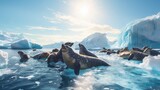 Fototapeta Natura - huddle of fur seals basking in the Antarctic sunlight, with icebergs floating in the background.